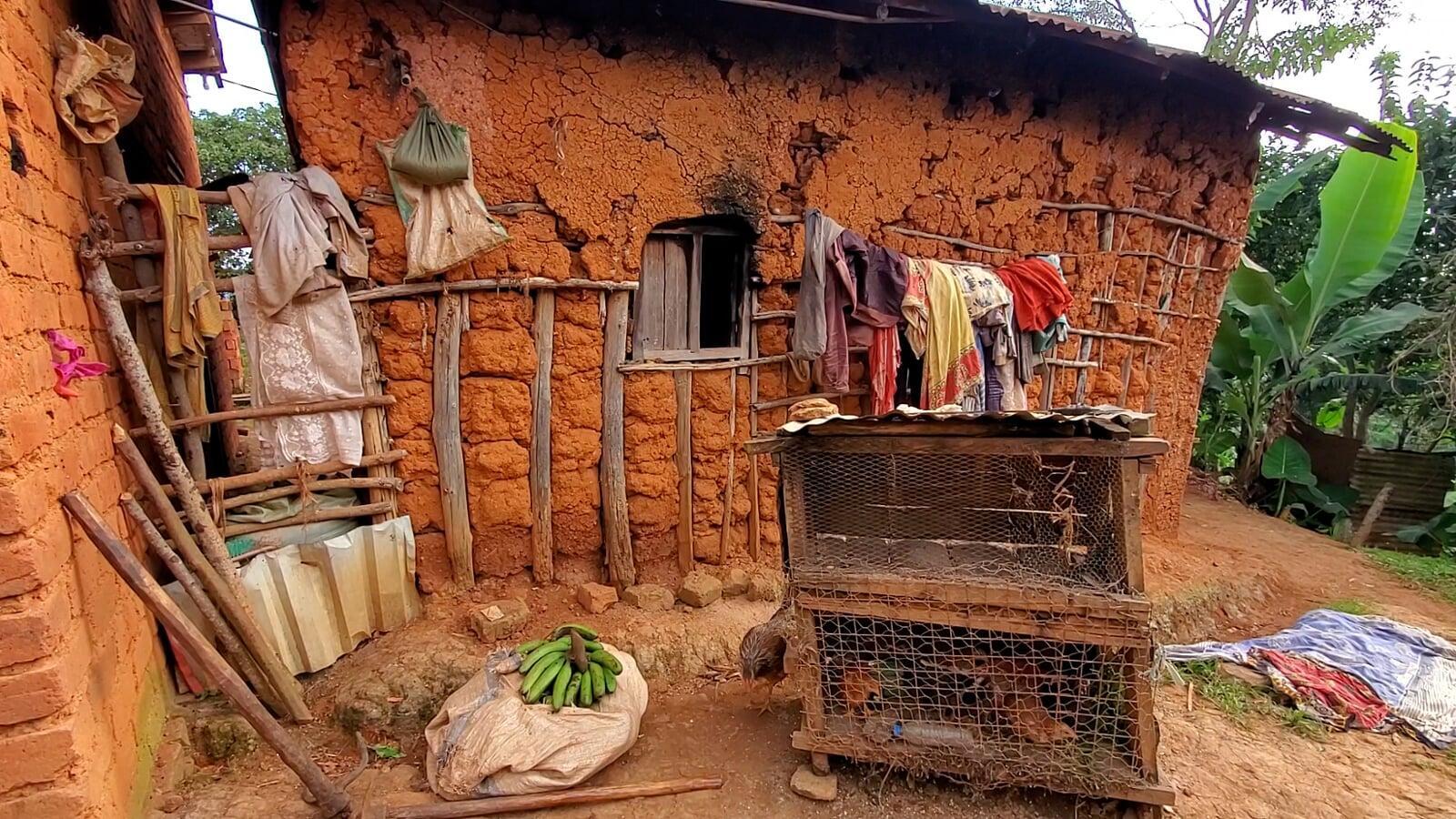 Turning Fear Into Hope Through Sustainable Farming With GiftTrees